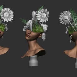 lady-planttt.jpg flores de dama