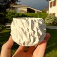 IMG_20190514_192142.jpg Free STL file Crystallised vase・3D printable object to download