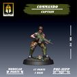 Cdo-Captain-3.jpg Commando Captain