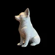 2026-01-07_1cf2547aa8088.webp Calm Companion Chihuahua  (incl commercial license)
