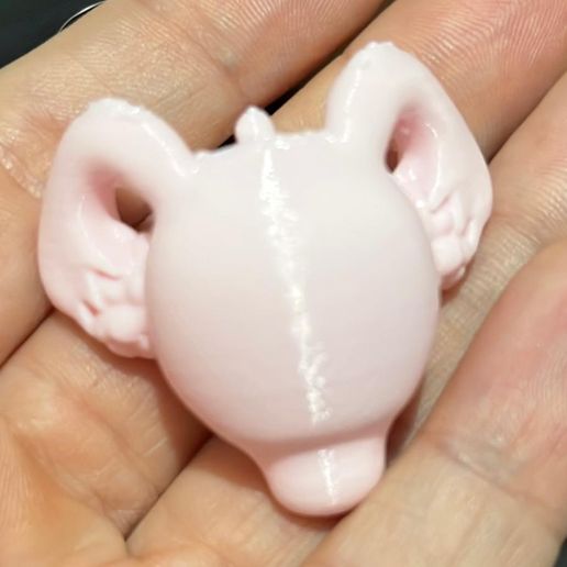 Uterus Keychain Chaveiro de utero