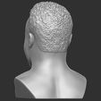 8.jpg Fichier STL Le buste de Dereck Chisora pour l'impression 3D・Idée pour impression 3D à télécharger