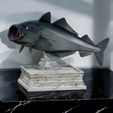 Coalfish-fish-statue-trophy-box_.jpg COALFISH / POLLACHIUS VIRENS trophy with storage space for 3d printing