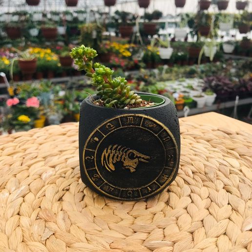 Zodiac Taurus Planter Pot 3D model
