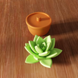 untitled3.png 3D Succulent Plant STL File - 479