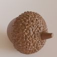 03.jpg Acorn Nut