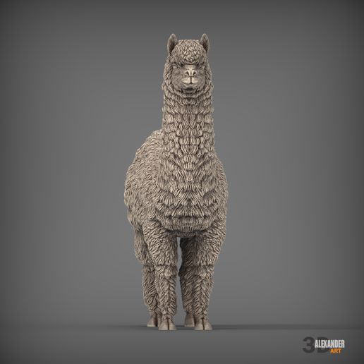 alpaca3.jpg alpaga