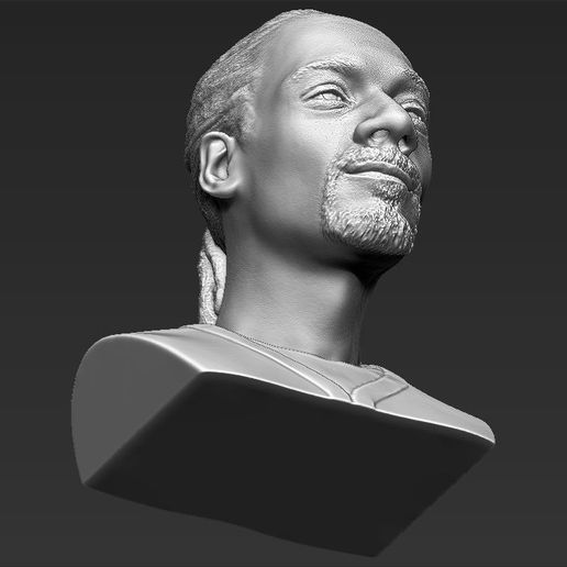 snoop-dogg-bust-ready-for-full-color-3d-printing-3d-model-obj-mtl-fbx-stl-wrl-wrz (38).jpg STL file Snoop Dogg bust ready for full color 3D printing・Template to download and 3D print, PrintedReality