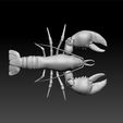 lob1.jpg lobster - sea animal