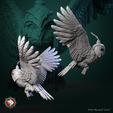 OWL_3.png Magic owl pre-supported
