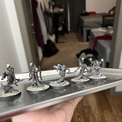 Serpents charognards