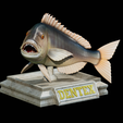 Dentex-trophy-2.png fish Common dentex / dentex dentex trophy statue detailed texture for 3d printing
