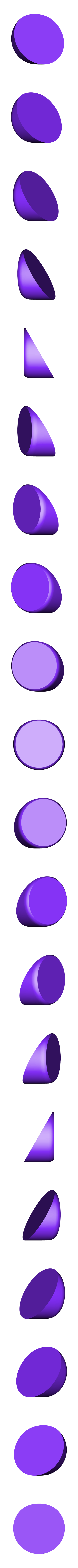 Pride bottle color 1.stl Pride rainbow bottle keychain