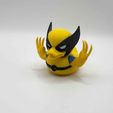 3f7da012-c827-49be-a96f-b1facc5b71ee.jpg Wolverine Duck
