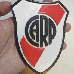 CARP_2022_-_001.jpeg Free 3D file New River Plate Shield・3D printer design to download