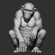 Chimpanzee-monkey-stl-3d-printable-model-6.jpg Singe chimpanzé stl modèle imprimable en 3d