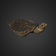Capture d’écran 2017-12-14 à 15.14.04.png Hawksbill Sea Turtle