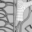 wfsub-0014.jpg Human venous system schematic 3D