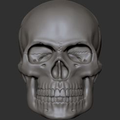 gfhfghh.jpg STL-Datei Schädelkopf für Actionfiguren・3D-Druckvorlage zum Herunterladen