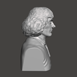 Nicolaus-Copernicus-8.png 3D Model of Nicolaus Copernicus - High-Quality STL File for 3D Printing (PERSONAL USE)