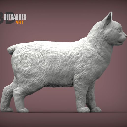 🐱 Manx cat 3D print model・ 3D File for ・Cults
