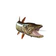 7.jpg PIKE FISH Esox Masquinongy FISH ANIMAL SEA 3D MODEL 3D - FISH Muskellunge MONSTER HUNTER RAPTOR DINOSAUR RAPTOR 3D MODEL