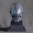 006.jpg Alien Head