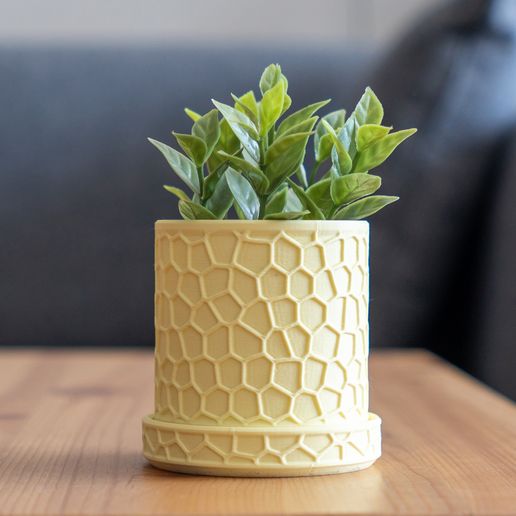 honeycomb-planter-3-4-03.jpg Jardinière en nid d'abeille