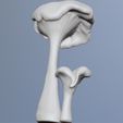2023-04-21-10_33_05-ZBrush.jpg naturalist sculpture mushrooms girolle