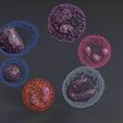 white-blood-cells-leucocytes-3d-model-blend-9.jpg WHITE BLOOD CELLS LEUCOCYTES 3D model