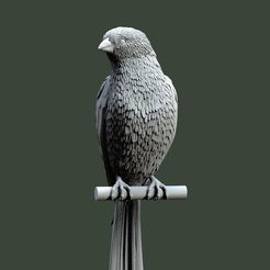 756757.jpg STL-Datei Vogel・3D-Druck-Idee zum Herunterladen