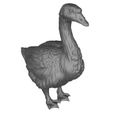 3D-Print-Ready-Goose-05.jpg Гусь Утка 3D печать модели