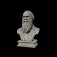 18.jpg Charles Darwin portrait sculpture 3D print model