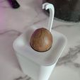 1000002867.jpg Maceta 7 Germinador Agucate
