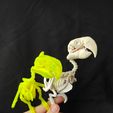 IMG_20231007_145338696_HDR.jpg Parrot Skeleton