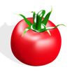 10.jpg TOMATO FRUIT VEGETABLE FOOD 3D MODEL - 3D PRINTING - OBJ - FBX - 3D PROJECT RED TOMATO FRUIT VEGETABLE FOOD