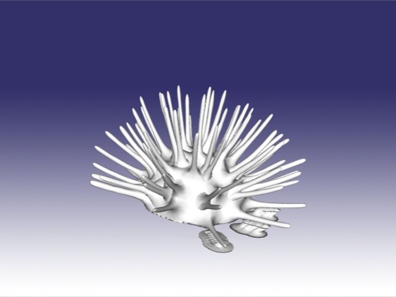 kestane kalın0003.jpg Download OBJ file Sea Urchin • 3D printable object, Dsignrcmc