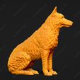 1622-Belgian_Shepherd_Dog_Laekenois_Pose_05.jpg Belgian Shepherd Dog Laekenois Dog 3D Print Model Pose 05