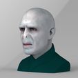 untitled.311.jpg Lord Voldemort bust ready for full color 3D printing