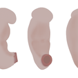 3_Weeks_Diffuse_Color.png 3 Weeks Human embryonic (baby stages)
