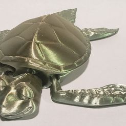 Симпатичная черепашка с флекси-принтом, TooRandom73