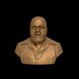 30.jpg DJ Khaled 3D print model