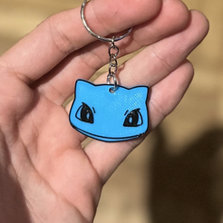 IMG_2450.png 3D file Bulbasaur Keychain・3D printing model to download