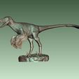 2.jpg Acheroraptor for 3D printing