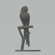 1.png STL-Datei Papageienbaum 3D-Druckmodell・3D-druckbare Vorlage zum herunterladen