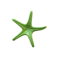 snapshot_p3d-(9).png Real starfish 3d scan