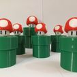 20230606_195346.jpg Super Mario Bros - Mushroom tube