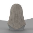 untitled.1744.jpg Dumbledore from Harry Potter bust for full color 3D printing