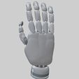 02.jpg Robotics Hand 2023
