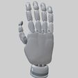 02.jpg Robotics Hand